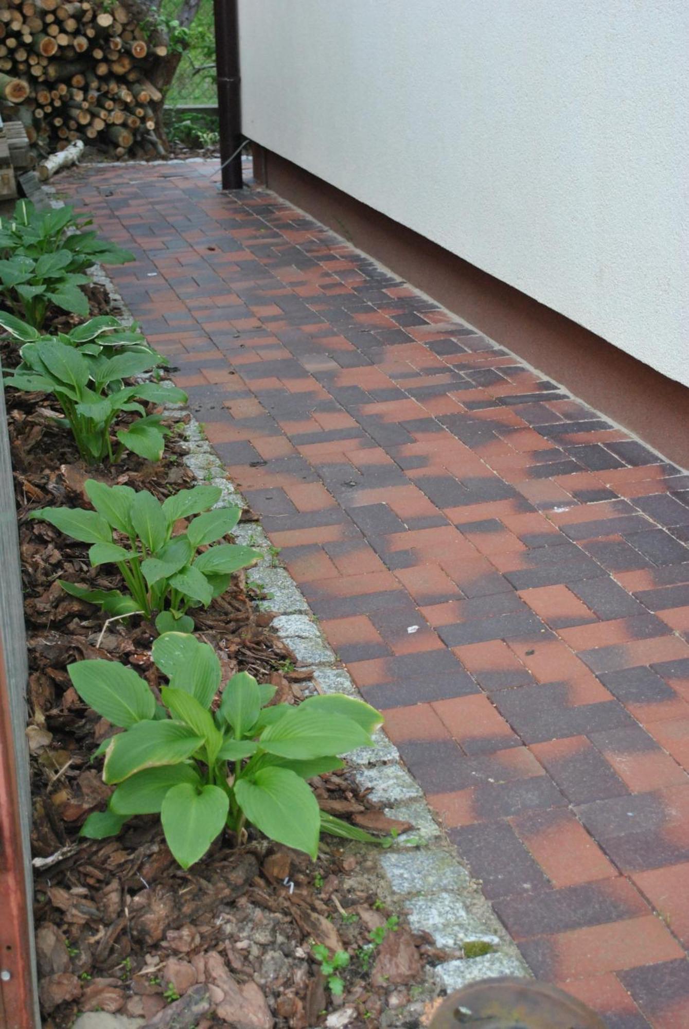 Apartament Wita Niemcz Luaran gambar